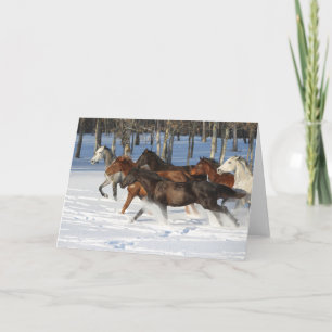 Herde von im Schnee laufenden Trakehner-Pferden Karte