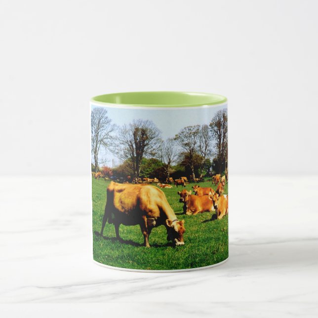 Herde von Jersey-Kühen Tasse (Zentrum)