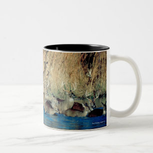 Herde von Rotwild 2 Zweifarbige Tasse