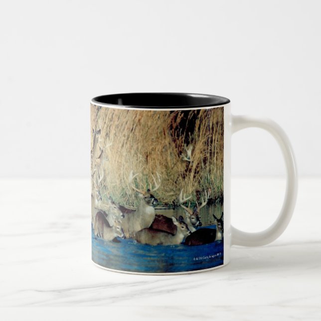 Herde von Rotwild 2 Zweifarbige Tasse (Rechts)