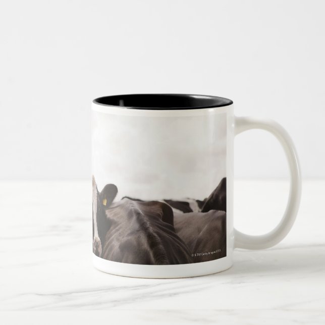Herde von Vieh und von bewölktem Himmel 2 Zweifarbige Tasse (Rechts)