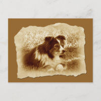 Herding Hund Vintag Sepia Tones
