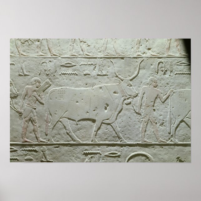 Herdsman führt einen Stier Poster (Vorne)