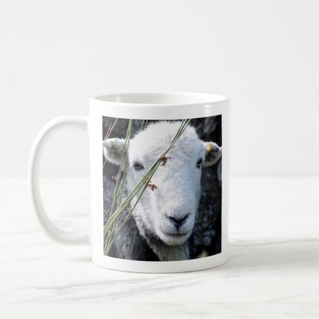 Herdwick ewe mug (Gauche)