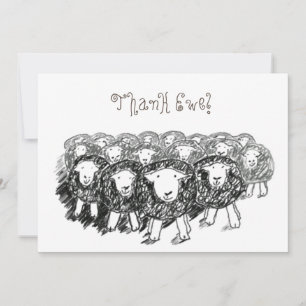 Herdwick Flock Carte de remerciements