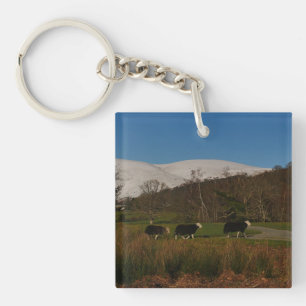 Herdwick-Schaf-Schlüsselanhänger Schlüsselanhänger