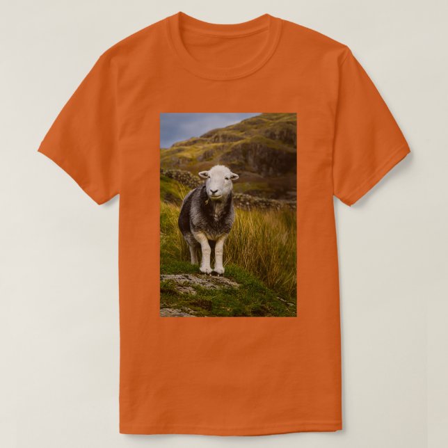 Herdwick Sheep T-Shirt (Design vorne)