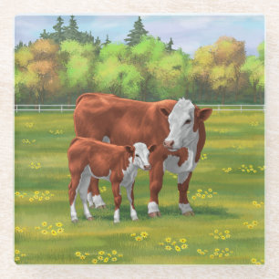 Hereford Cow & Niedlich Calf im Sommer Weide Glasuntersetzer
