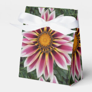 Hereford Geschenkschachtel