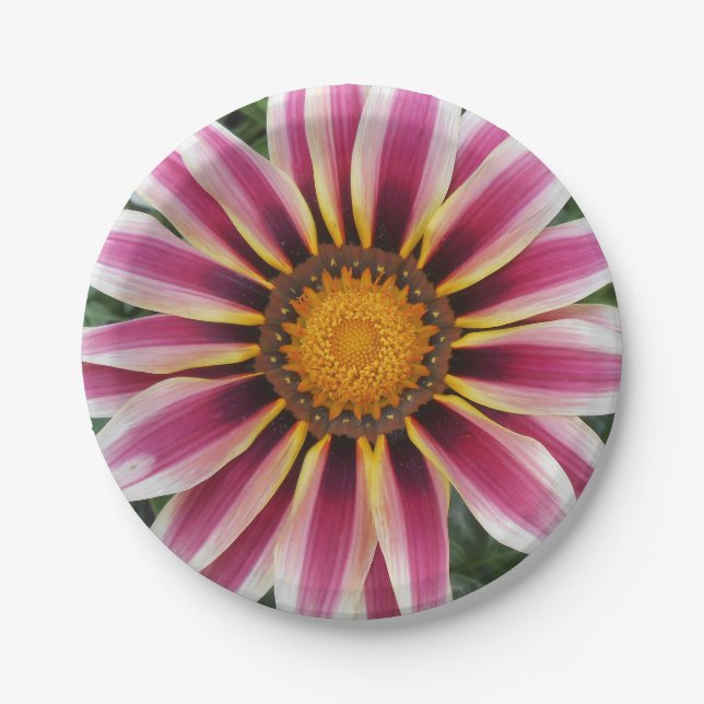 Hereford Pappteller (Vorderseite)