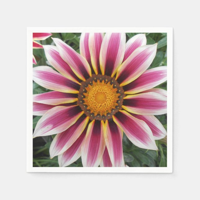 Hereford Serviette (Vorderseite)