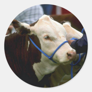 Hereford Vieh Runder Aufkleber