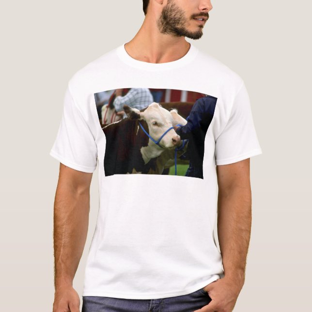 Hereford Vieh T-Shirt (Vorderseite)
