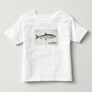 Hering (Clupea Harengus) (Abb. 1) und Sprotte (Clu Kleinkind T-shirt