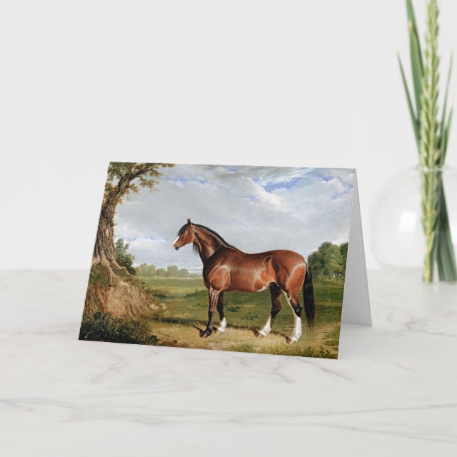 Hering - Ein Clydesdale-Stallion, schöne Kunst, Karte (Vorderseite)