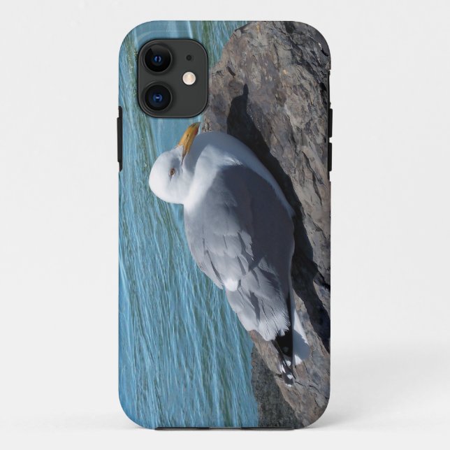 Hering Gull auf Rock Jetty Case-Mate iPhone Hülle (Rückseite)