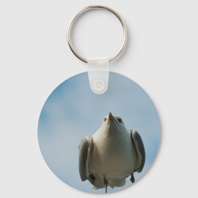 Hering Gull Schlüsselanhänger (Vorderseite)