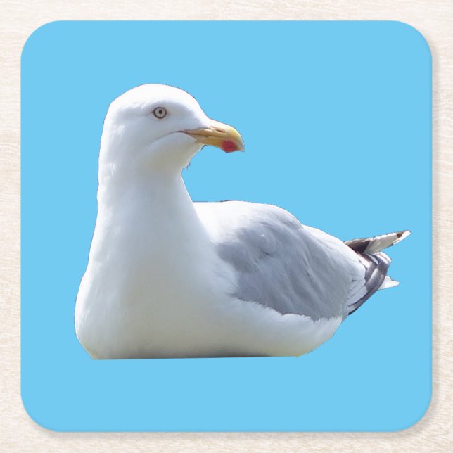 Hering Gull Sunbader Untersetzer (Vorderseite)