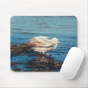 Heringsmöl P1046 Mousepad