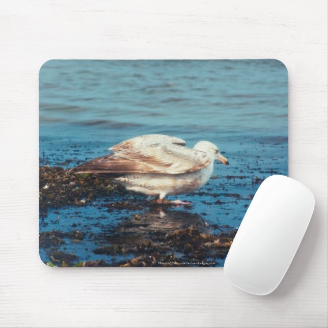 Heringsmöl P1046 Mousepad (Mit Mouse)