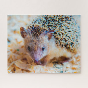 Hérisson Mignon, Puzzle
