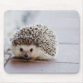 Hérisson Mignon, Tapis de Souris