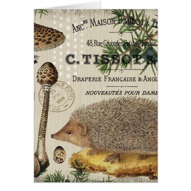 hérisson vintage moderne de région boisée (Devant)