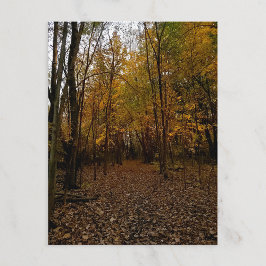 Heritage Park Fall Trail Postcard Feiertagspostkarte