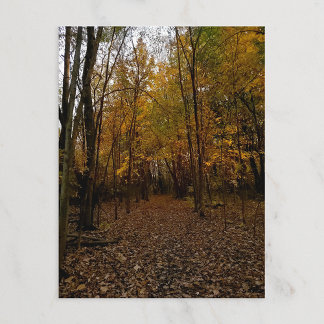 Heritage Park Fall Trail Postcard Feiertagspostkarte