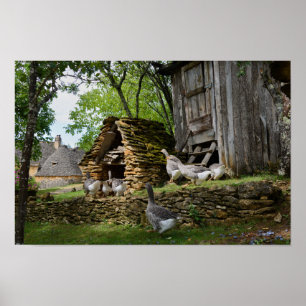 Herkömmliches Gänseposter Poster
