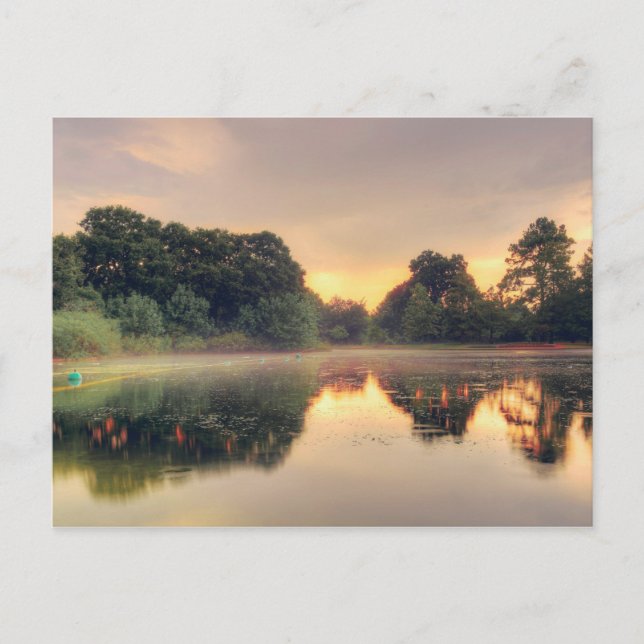 Hermann Park Mist Postkarte (Vorderseite)