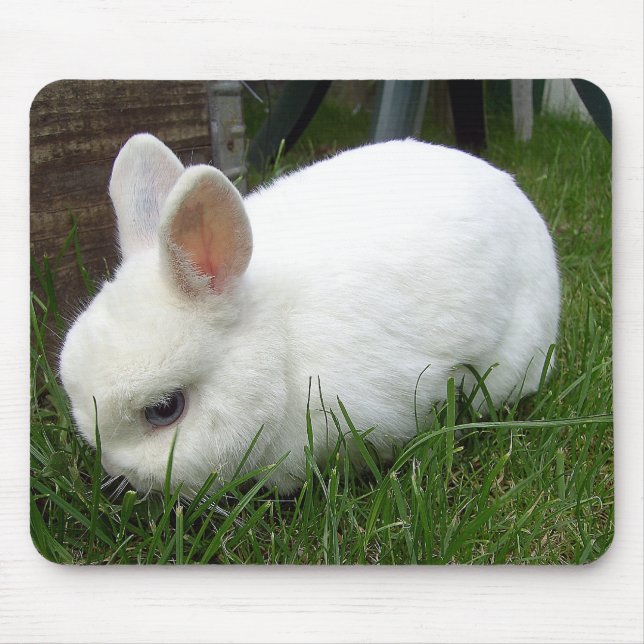 Hermelinkaninchen Mousepad (Vorne)