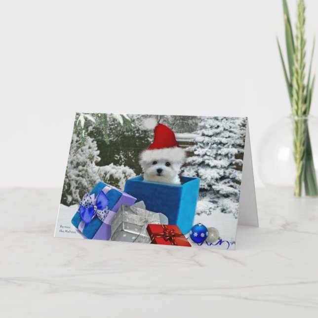 Hermes la carte de voeux maltaise de Noël (Devant)