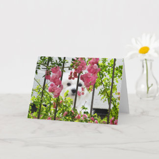 Hermes, la carte de voeux vierge maltaise