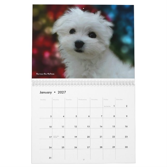 Hermes le calendrier maltais (Jan 2027)
