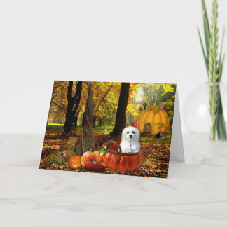 Hermes, Malteser Karte