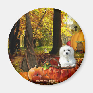 Hermes, Malteser Magnet