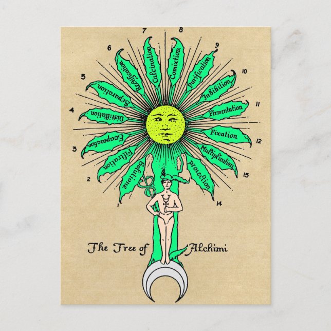 Hermes Tree of Alchemy Mandala Postkarte (Vorderseite)