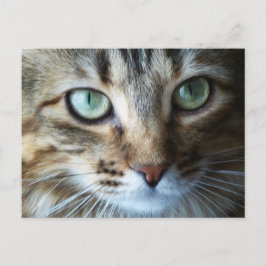 Hermione Up Nah Postkarte