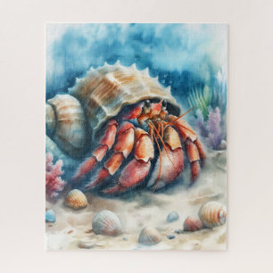Hermit Crab