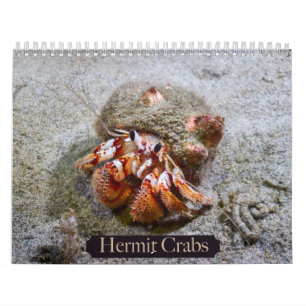 Hermit Crab Calendar Kalender