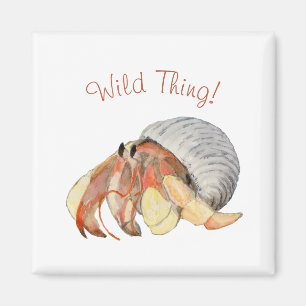 Hermit Crab Magnet