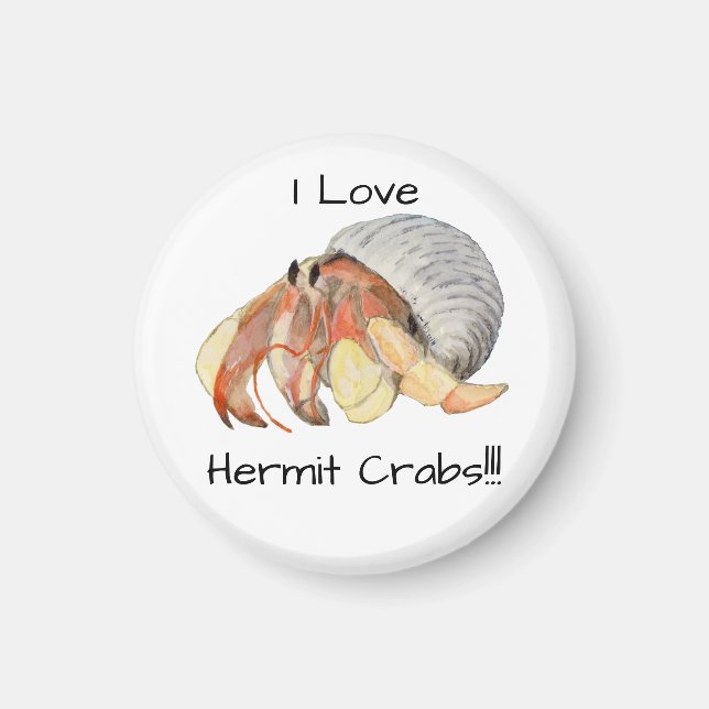 Hermit Crab Magnet (Vorne)