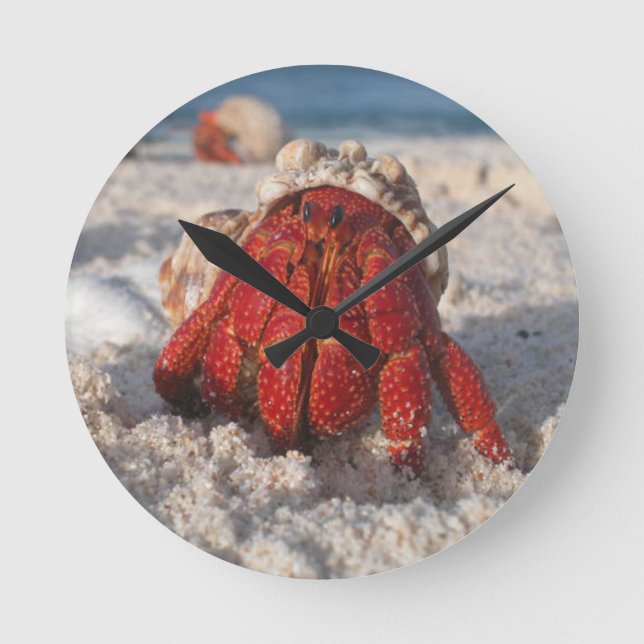 Hermit Crab Runde Wanduhr (Vorderseite)