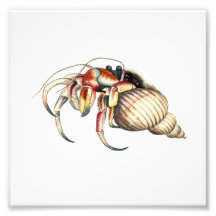 Hermit Crab Sea Ocean Beach Badezimmer Printwerbun