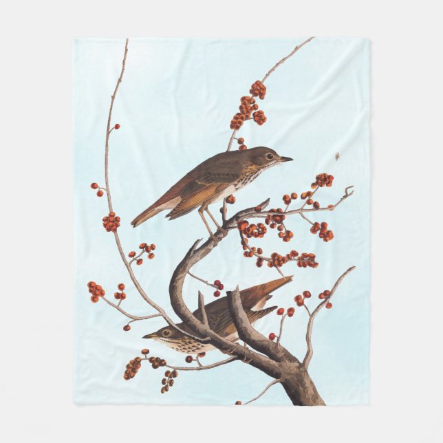 Hermit Thrush Audubon Bird mit Red Berries Fleecedecke (Vorderseite)