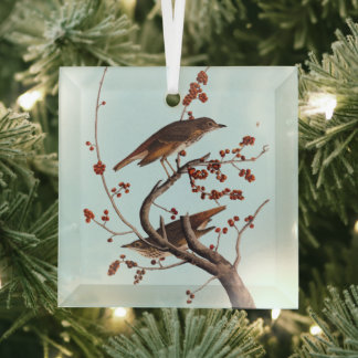 Hermit Thrush Audubon Bird mit Red Berries Ornament Aus Glas