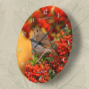 Hermit Thrush Songbird am Scarlet Firethorn Große Wanduhr