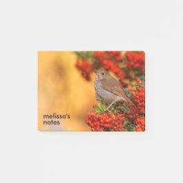 Hermit Thrush Songbird am Scarlet Firethorn Post-it Klebezettel