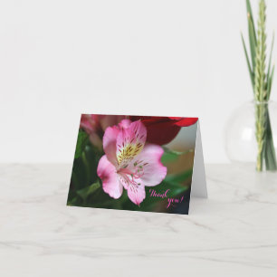 Hermoso Carte de remerciements